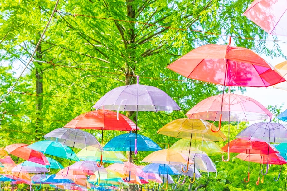 雨の日を彩る傘の魔法